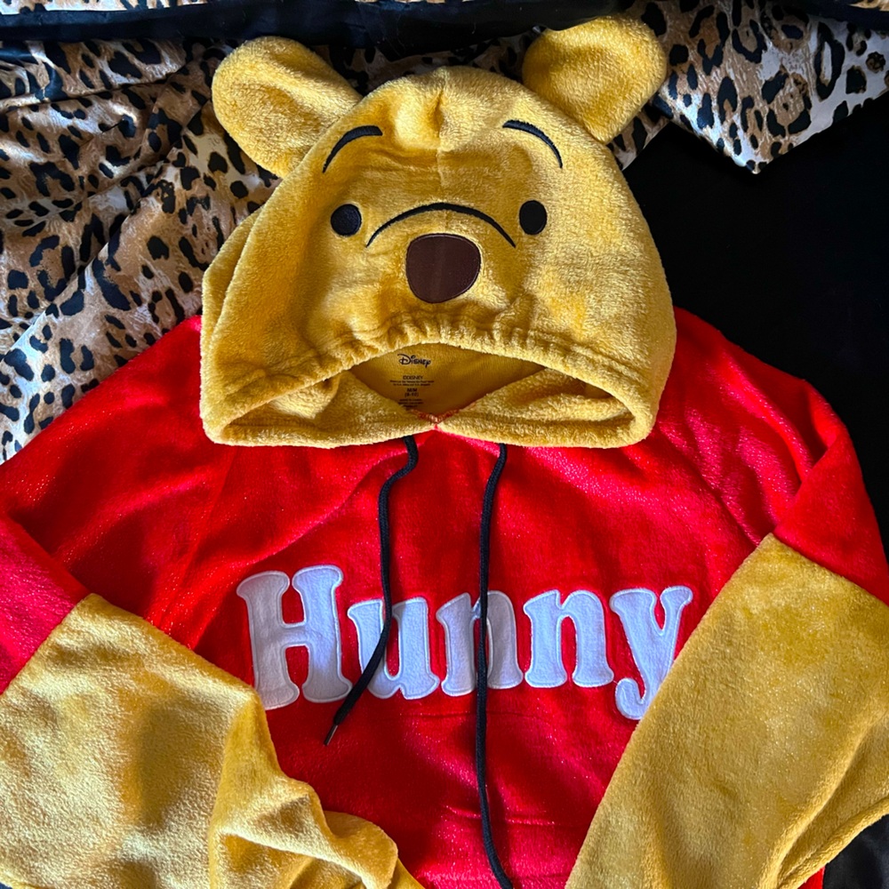 Winnie the Pooh Disney Hoodie
